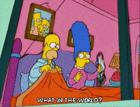 homer simpson window GIF