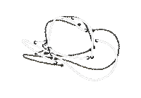 Horse Hat Sticker by Rays Bar