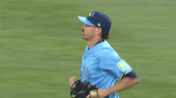 Blue Jays Baseball GIF by Toronto Blue Jays