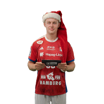 Handball Hamburg Sticker by DAIKIN HBL