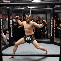 Mma Samurai GIF