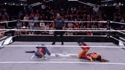 Wwe Nxt GIF