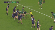 GIF by Connacht Rugby