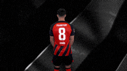 Turn Sge GIF by Eintracht Frankfurt