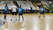 Czech Republic Handball GIF by HCB Karviná