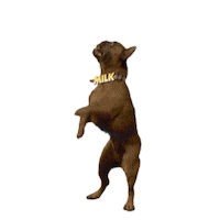 Juju Dance Challenge Sticker by got milk