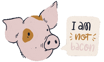 Vegan Pig Sticker