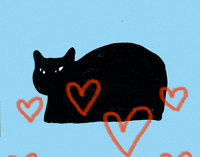 cat vote GIF by Nastia Cistakova