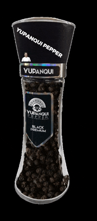 yupanquipepper yupanquipepper GIF