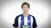 bundesliga number GIF by Hertha BSC