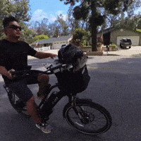 Dogs Biking GIF