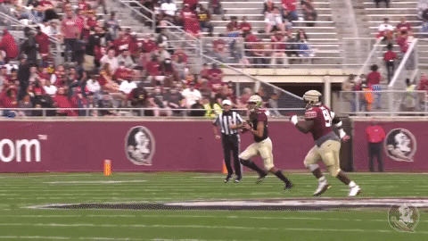 ptk12 giphyupload GIF