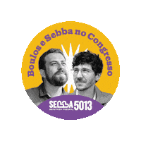 Df Deputado Federal Sticker by Raphael Sebba