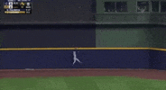 Pca Flythel GIF
