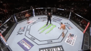 ufc 205 GIF