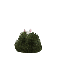 PearlAbyss bdo blackdesert blackdesertonline bdoeternalwinter Sticker