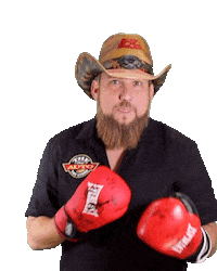 thenewautotoystore art money cars super Sticker