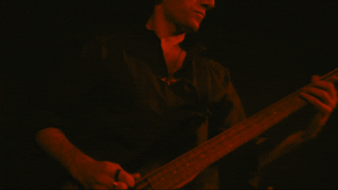 nouhisnomad giphyupload bass nomad bassist GIF