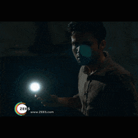 ruskin bond ghosts GIF by ZEE5