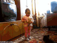 takes GIF