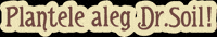 Plantelealegdrsoil GIF by Dr.Soil