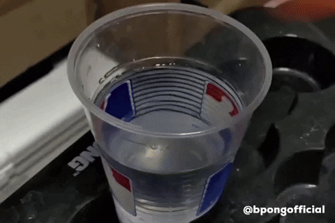 Smash Beer Pong GIF by BPONGofficial