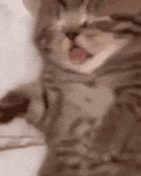 Sleepy Good Night GIF