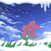 Snow Colors GIF