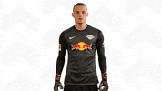 Oh Yeah Motivation GIF by RB Leipzig