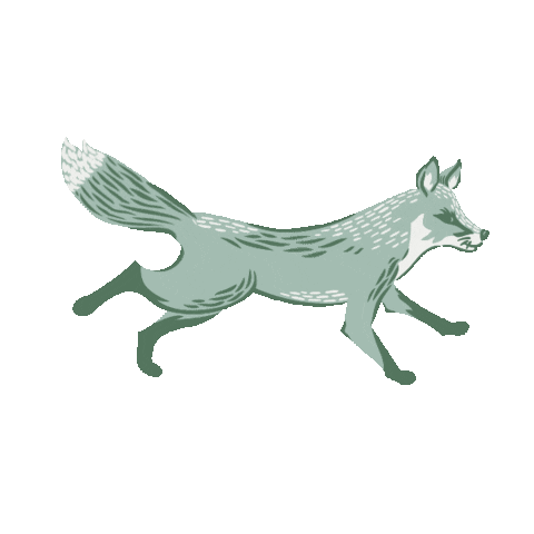 fox wallpaper Sticker by Hygge and West