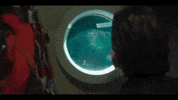 Shark Movie GIF by Signature Entertainment