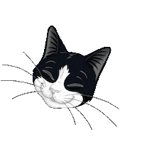 PurinaAdriatic cat cats yummy lick Sticker