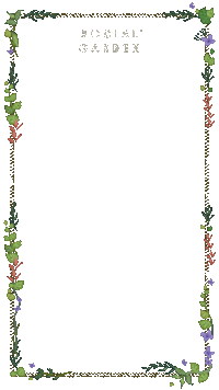 Garden Border Sticker by Social House
