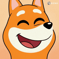 Extreme Close-Up Smiling GIF by BONK