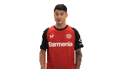 Bayer Leverkusen Wow Sticker by Bundesliga