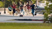 The Pack Dogs GIF by Amazon Prime Video