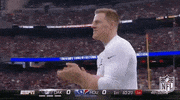 houston texans jj watt GIF by NFL