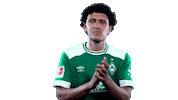 football bundesliga Sticker by SV Werder Bremen