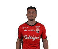 Ligue 2 Football Sticker by EA Guingamp