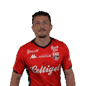 Ligue 2 Football Sticker by EA Guingamp