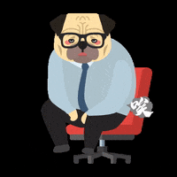 allisonchan2 work ugh sigh pug GIF