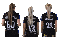 Floorball Salibandy Sticker by F-liiga
