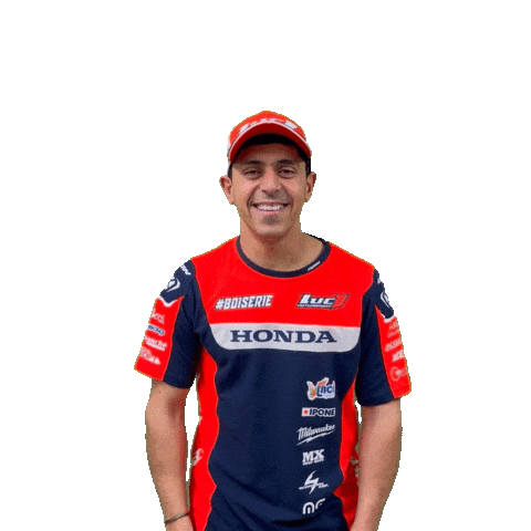 Honda Alex Sticker by Luc1