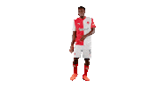 Dance Football Sticker by SK Slavia Praha
