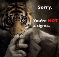 Tiger Sigma GIF
