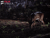 classic film eating GIF by FilmStruck