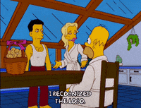 homer simpson GIF