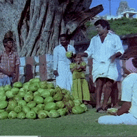 Singapore Tamilmeme GIF