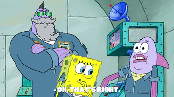 season 9 episode 3 GIF by SpongeBob SquarePants