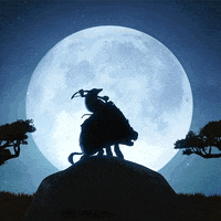 tatprod horse cheval horseback horseride GIF